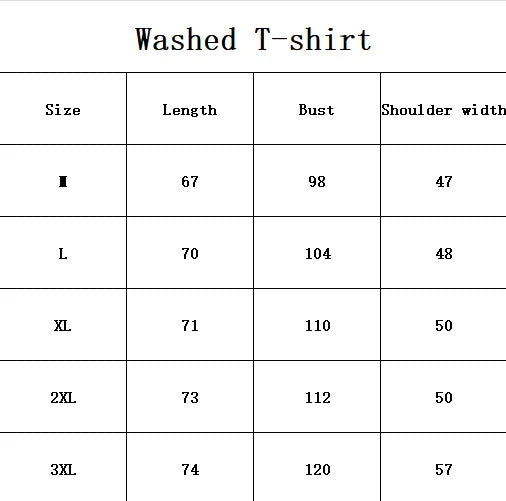 Zen Flux Washed Graphic Tee